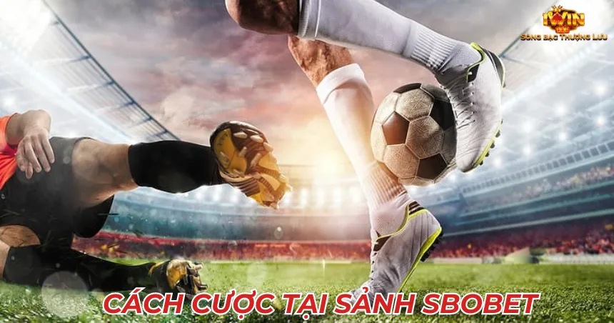 Cách cược tại sảnh SBOBET