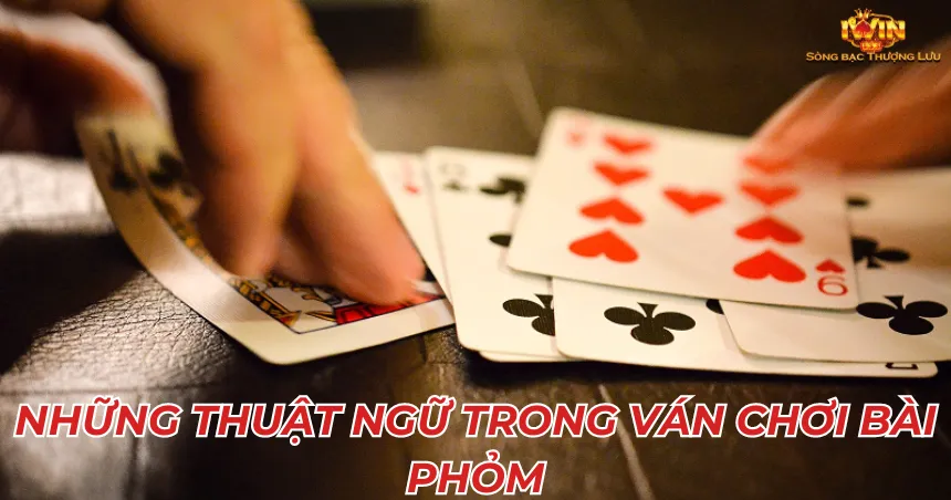 Những thuật ngữ trong ván chơi bài Phỏm
